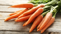 Pourquoi dit-on que la carotte donne les fesses roses ?