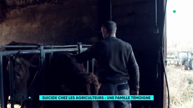 Suicide chez les agriculteurs : une famille témoigne 