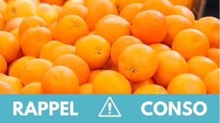 Rappel produit : oranges en filet et en vrac
