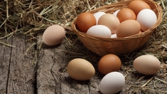 PFAS : pourquoi les œufs produits près de Lyon ne doivent pas être consommés