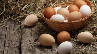 PFAS : pourquoi les œufs produits près de Lyon ne doivent pas être consommés