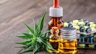 Douleurs chroniques : où en est-on avec le cannabis thérapeutique ?