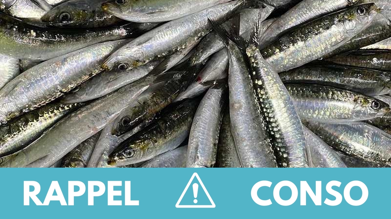 Des lots de sardines en boîte rappelés - Paris-Normandie