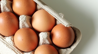 Comment bien conserver ses œufs