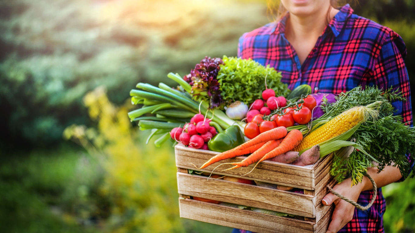 Quels sont les légumes à ne pas manger crus ? - AlloDocteurs