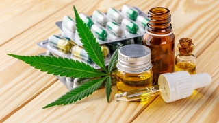 La pénurie de cannabis thérapeutique met des patients en difficulté