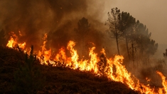 Risque d'incendie : découvrez la nouvelle carte météo des feux de forêt