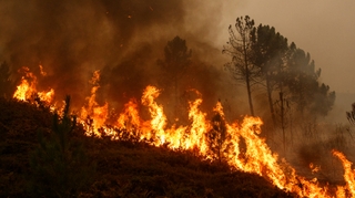 Risque d'incendie : découvrez la nouvelle carte météo des feux de forêt