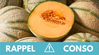 Rappel produit : Melons charentais vendus chez Lidl