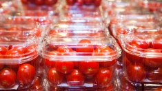 Des tomates cerises contaminées à la salmonelle : 92 malades et 1 mort