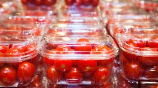 Des tomates cerises contaminées à la salmonelle : 92 malades et 1 mort