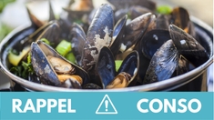 Rappel produit : Moules de Bouchot