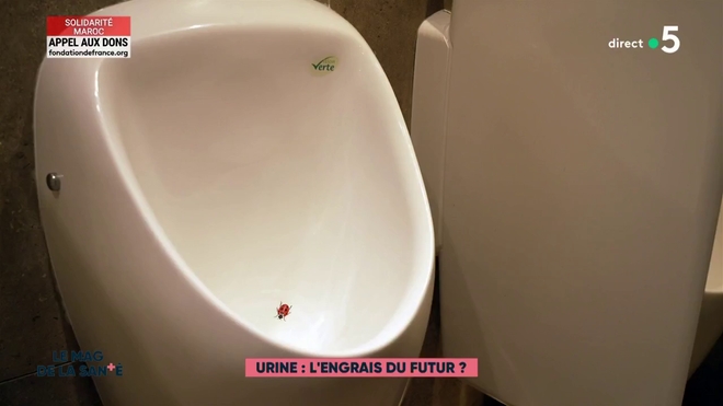 Urine : L'engrais du futur ?