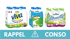 Candia, GrandLait, Viva... Plusieurs lots de lait font l'objet d'un rappel