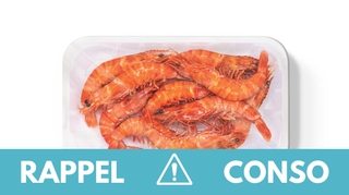 Rappel produit : Crevettes Auchan