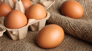Cuisson, conservation... comment consommer ses œufs sans risque pour la santé ?