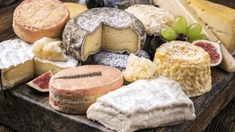 Quels sont les fromages les moins gras ?