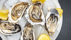 Nouvel an : les huîtres du Bassin d'Arcachon interdites à la vente après des intoxications