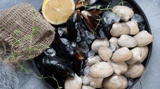 Norovirus : Après les huîtres, plusieurs coquillages interdits de consommation