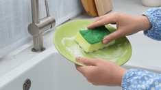 Oui, votre éponge de cuisine est souvent plus sale que vos toilettes