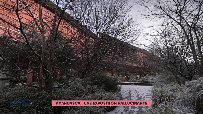 Ayahuasca : une exposition hallucinante