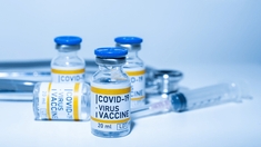 Un Allemand se fait vacciner 217 fois contre le Covid sans effet secondaire