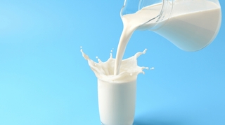 Le lait est-il un aliment gras ?