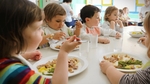 Salmonelle : 24 enfants contaminés après un repas dans la même cantine