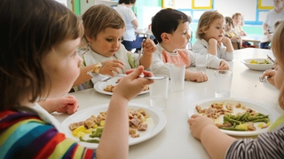 Salmonelle : 24 enfants contaminés après un repas dans la même cantine