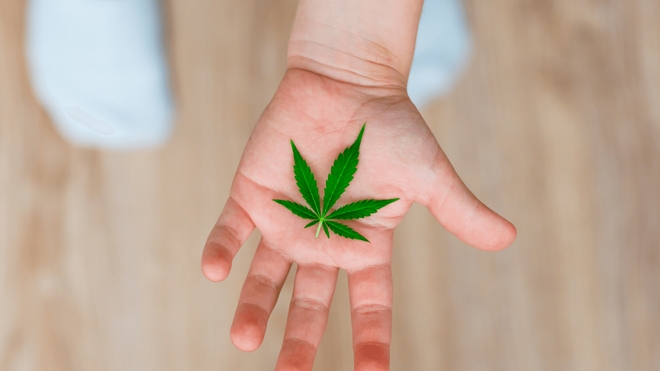 Le cannabis est désormais la troisième cause d'hospitalisations pour intoxication chez les moins de six ans