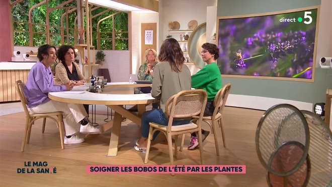 Est-il possible de soulager le mal des transports grâce aux plantes ?