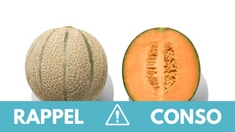 Rappel produit : Melon charentais