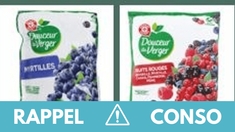 Rappel produit : Myrtilles et fruits rouges surgelés