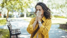 Allergies au pollen : les antihistaminiques sans ordonnance sont-ils efficaces ?