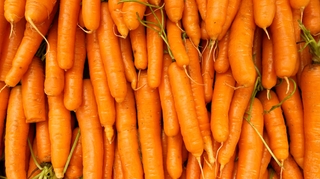 Peut-on manger des carottes quand on veut perdre du poids ?