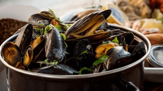 Gastro, infection mortelle… Ce que vous risquez en mangeant des fruits de mer cet été