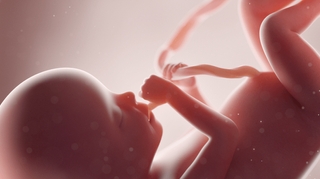 Le foetus, un patient comme les autres