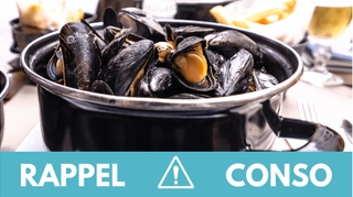 De nombreux lots de moules de Bouchots rappelés dans toute la France