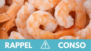 Vaste rappel de crevettes vendues depuis cinq mois et contaminées par une bactérie mangeuse de chair