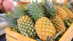 Quels sont les bienfaits de l'ananas ?