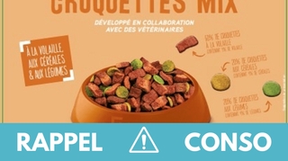 Salmonelles : de nouveaux lots de croquettes contaminées font l'objet d'un rappel