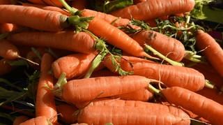 Quels sont les bienfaits des carottes ?