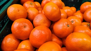 Mandarines, clémentines, oranges : quels sont leurs bienfaits ?