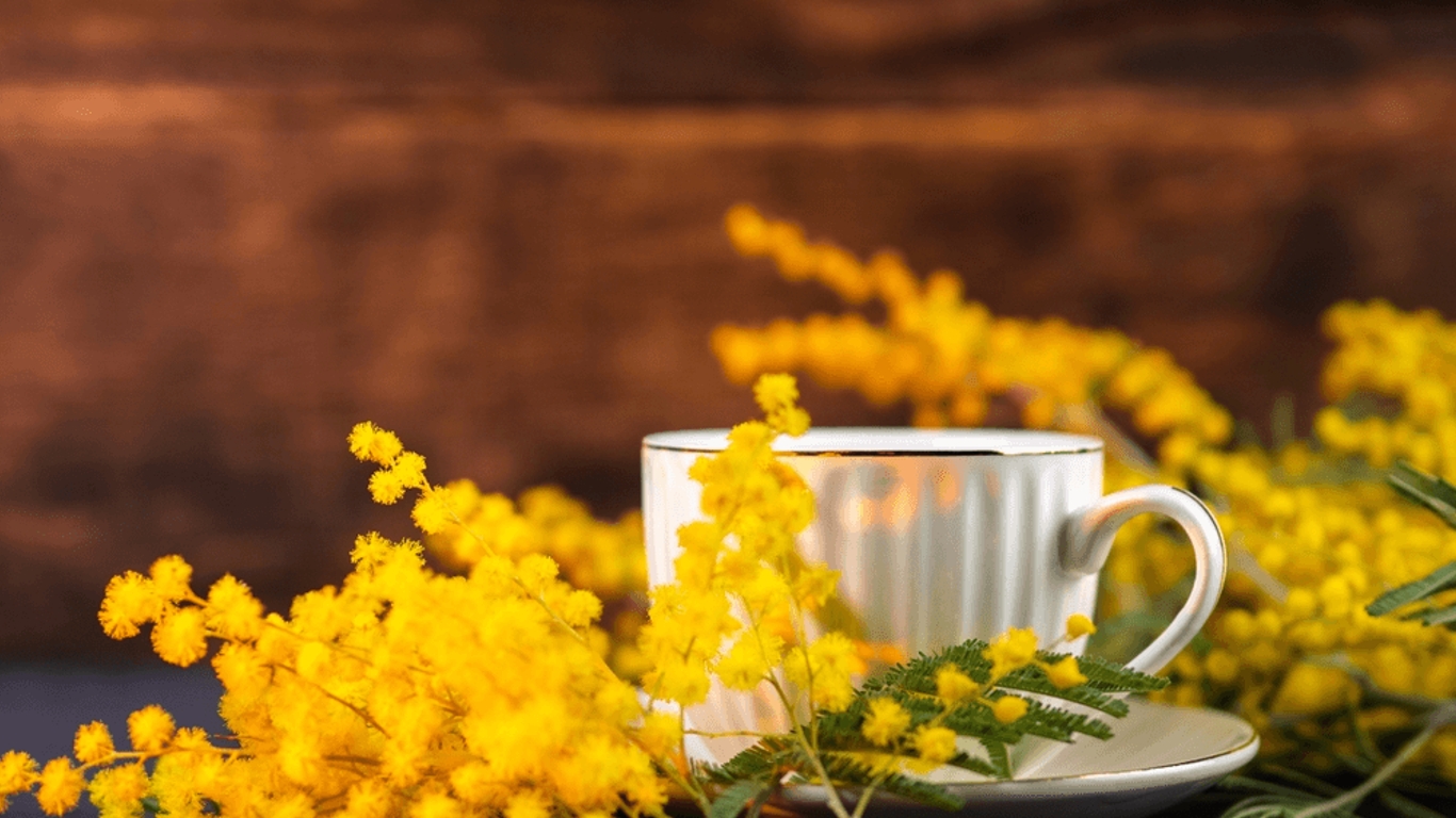 Découvrez les bienfaits de la tisane de mimosa pour votre santé