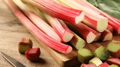 Quels sont les bienfaits de la rhubarbe ?