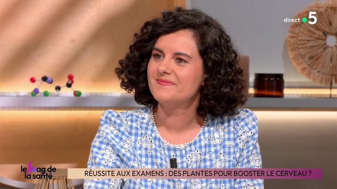 Réussite aux examens : des plantes pour booster le cerveau ?