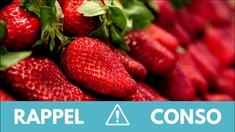 Ces fraises font l'objet d'un vaste rappel