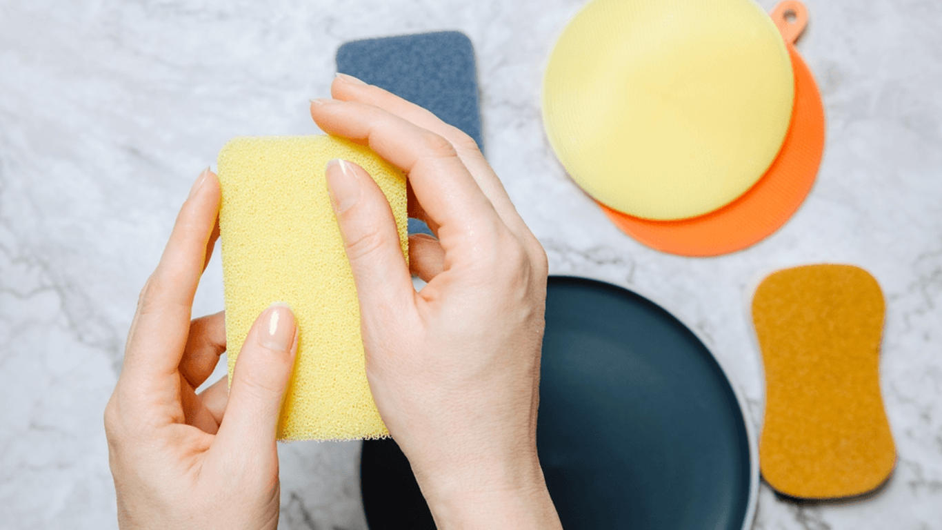 Éponge jetable ou lavable : c'est quoi le mieux en cuisine ? - AlloDocteurs