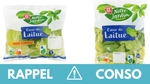 Rappel produit : ne consommez pas ces salades en sachet contaminées