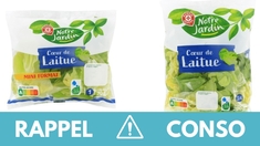 Rappel produit : ne consommez pas ces salades en sachet contaminées